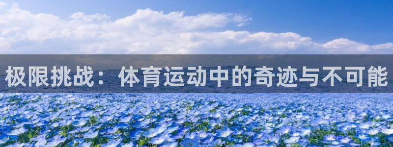 球速体育