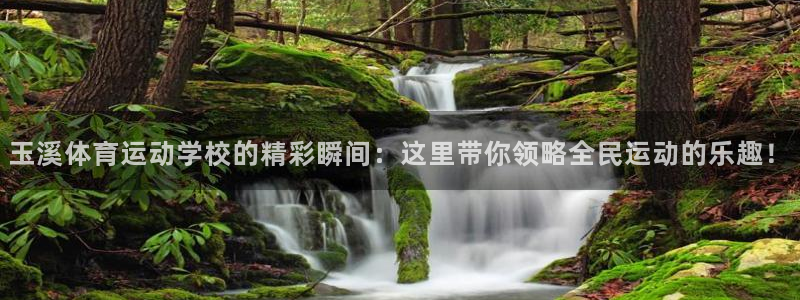 球速体育