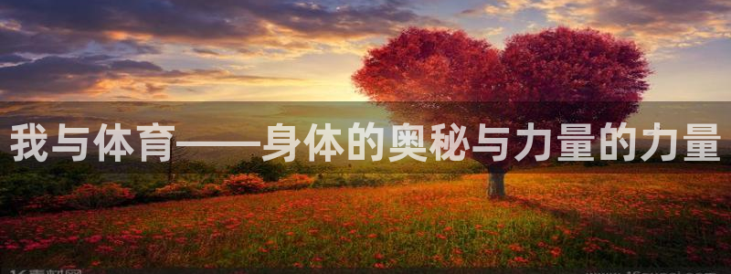 球速体育