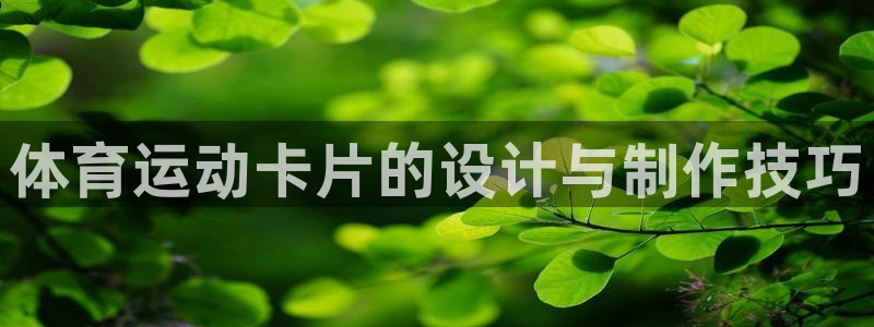 球速体育
